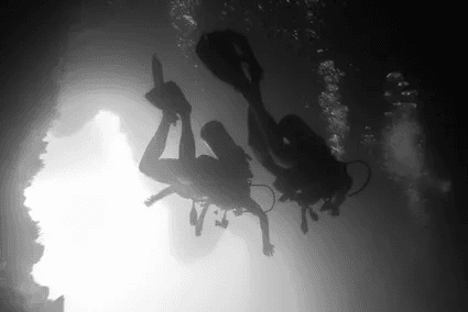 Experience